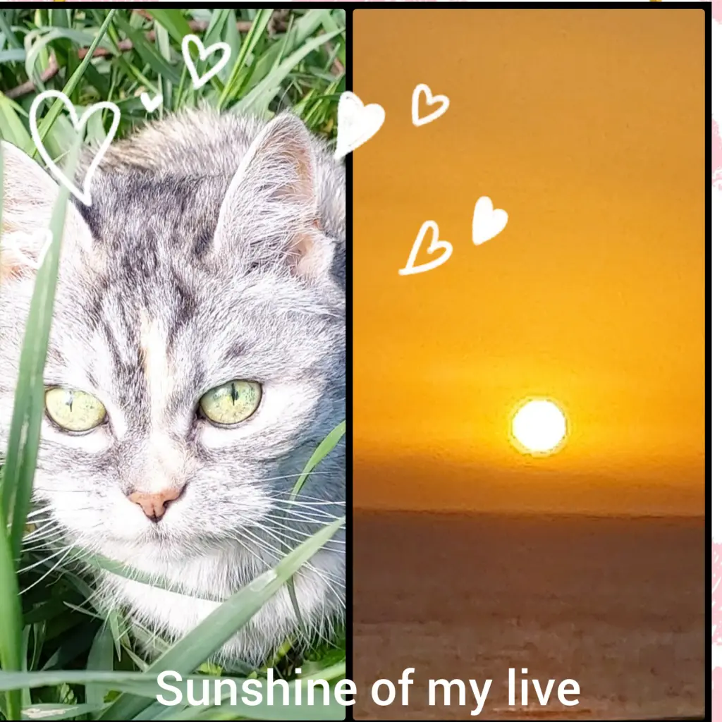 Andachtsbild von Von Silke mit Mia im ♥️