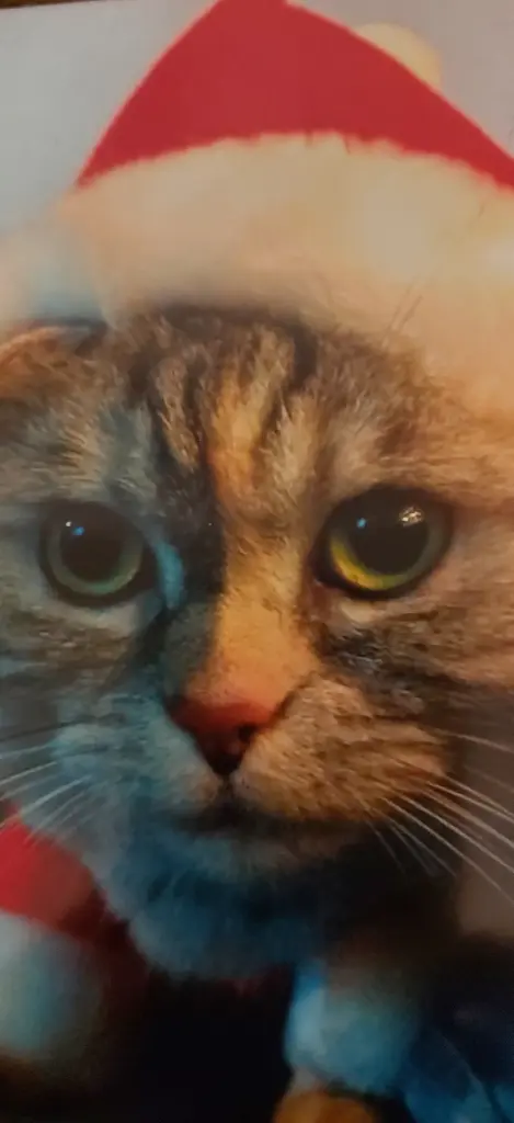 Andachtsbild von Post von Mia