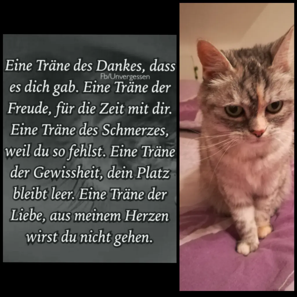 Andachtsbild von Von Silke mit Mia im ♥️
