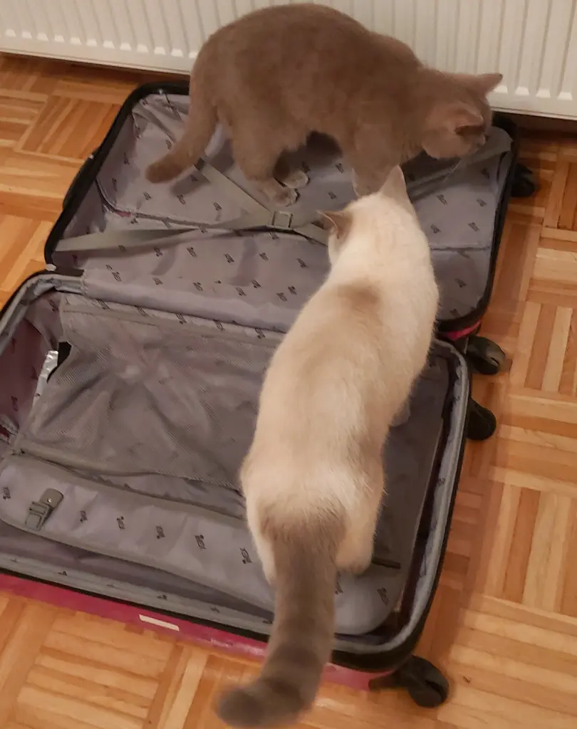 Andachtsbild von Koffer packen