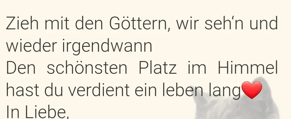 Andachtsbild von Freitag,der 26.