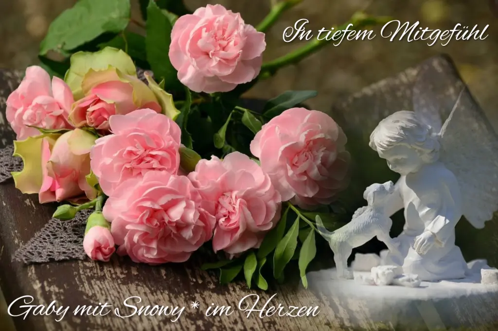 Condolence image of Gaby mit Snowy* im Herzen 