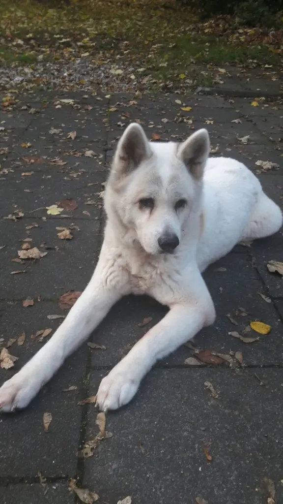 Condolence image of Sabina