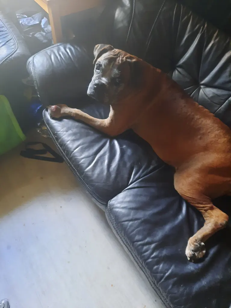 Bild von Thora