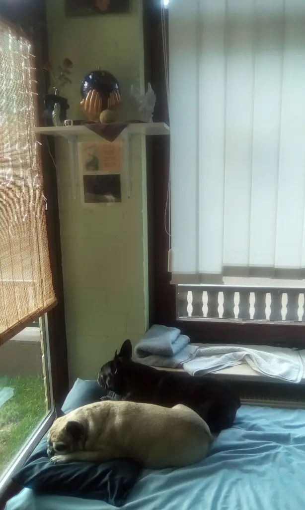 Andachtsbild von Fraule mit Joy und meggy