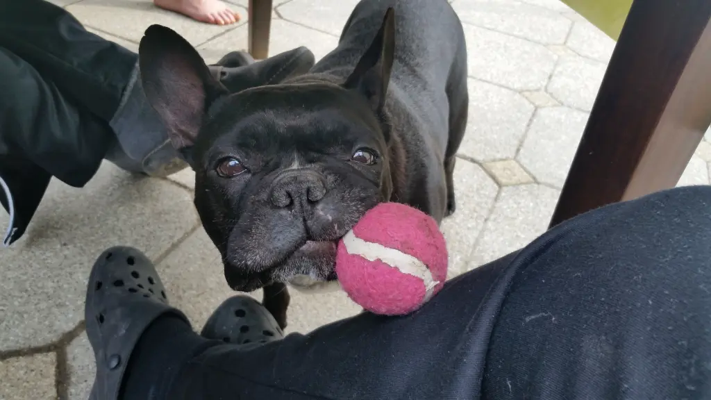 Andachtsbild von Unbekannt