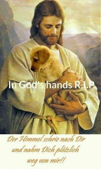 Andachtsbild von Fraule,Joy,Meggy,Robby