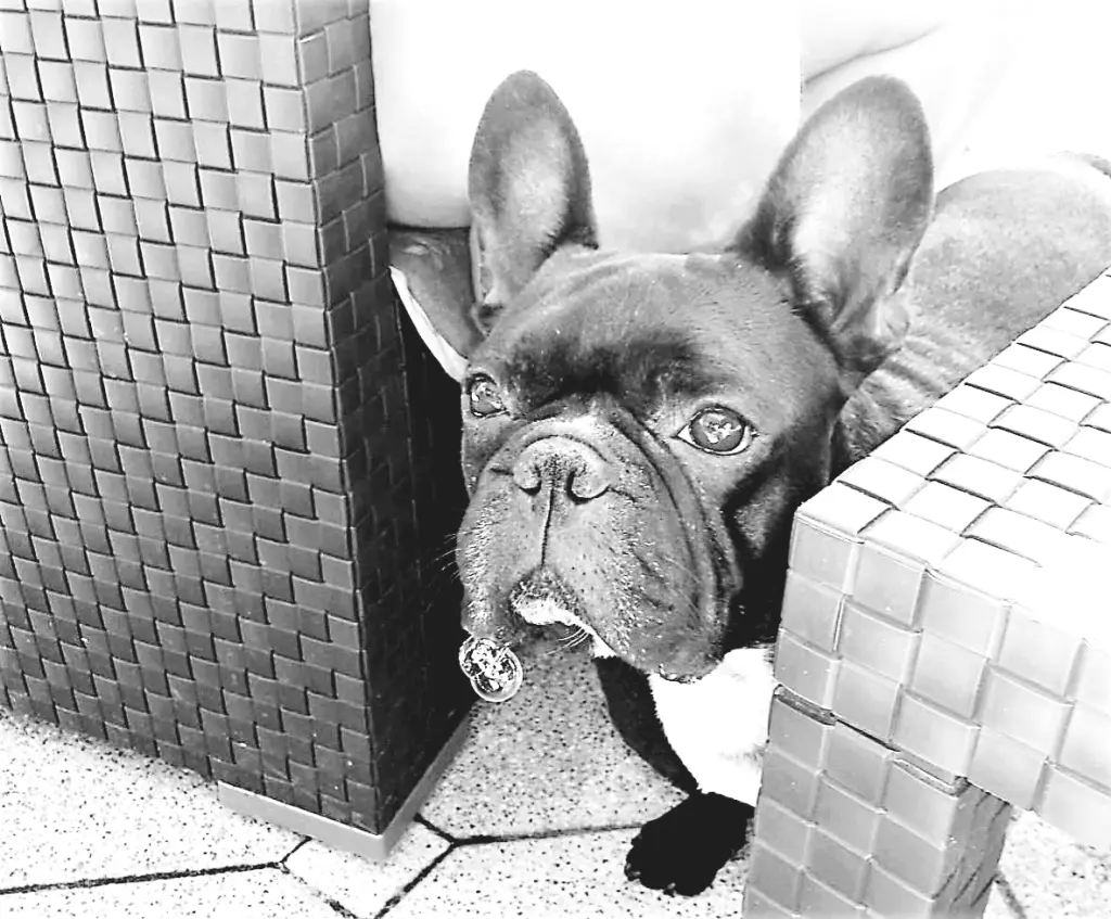 Andachtsbild von Kaum,Meggy und Robby