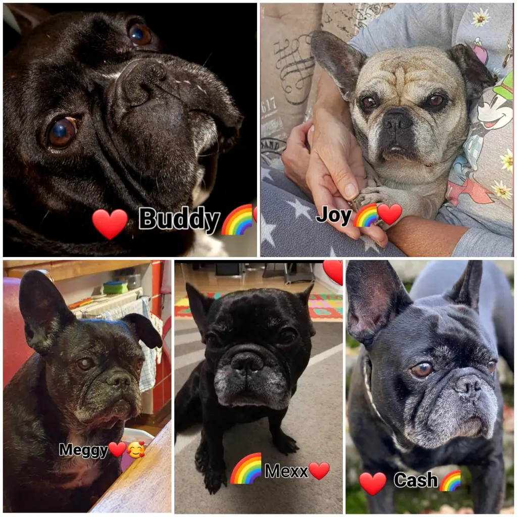 Andachtsbild von Fraule,Meggy,Robby und Bonny