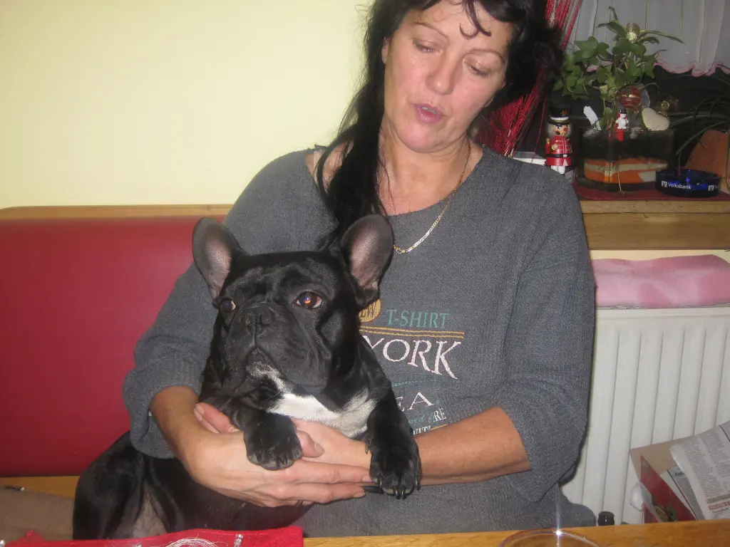 Andachtsbild von Fraule,Meggy,Robby ,Bonny