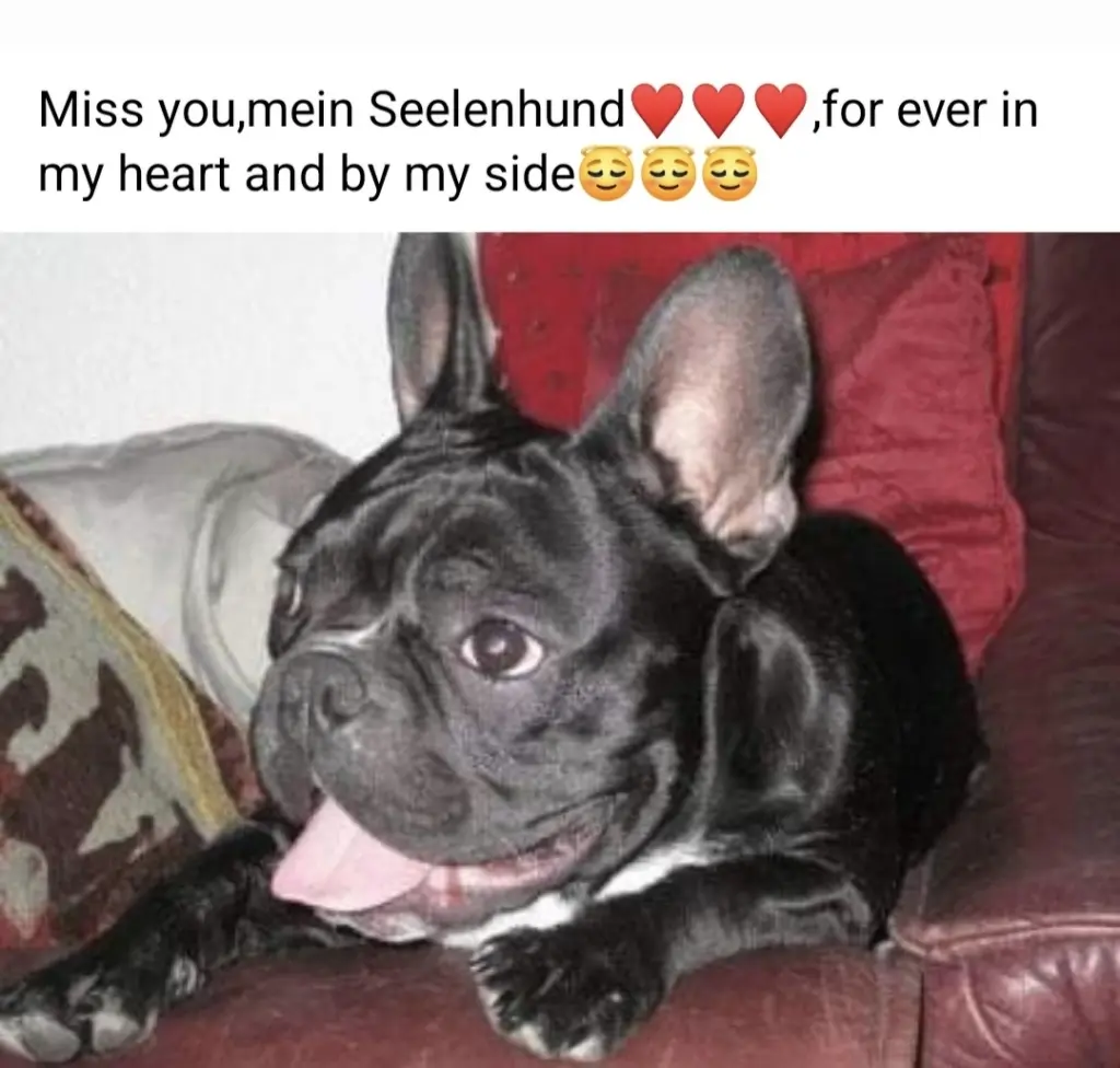 Andachtsbild von Mami,Meggy,Robby,Bonny