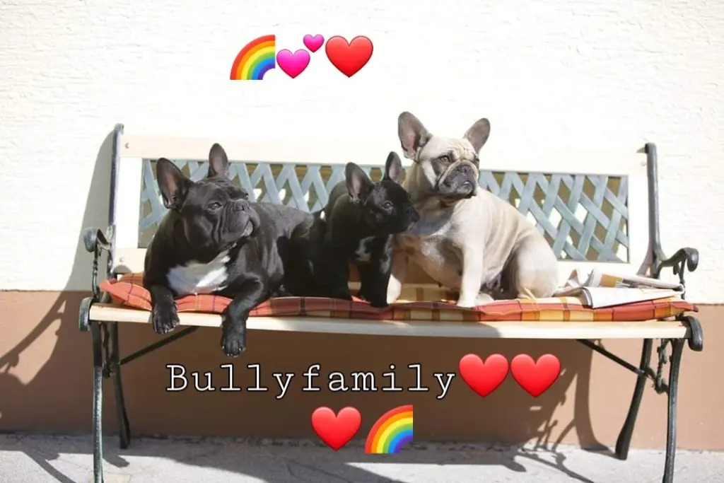 Andachtsbild von Fraule,Robby und Bonny