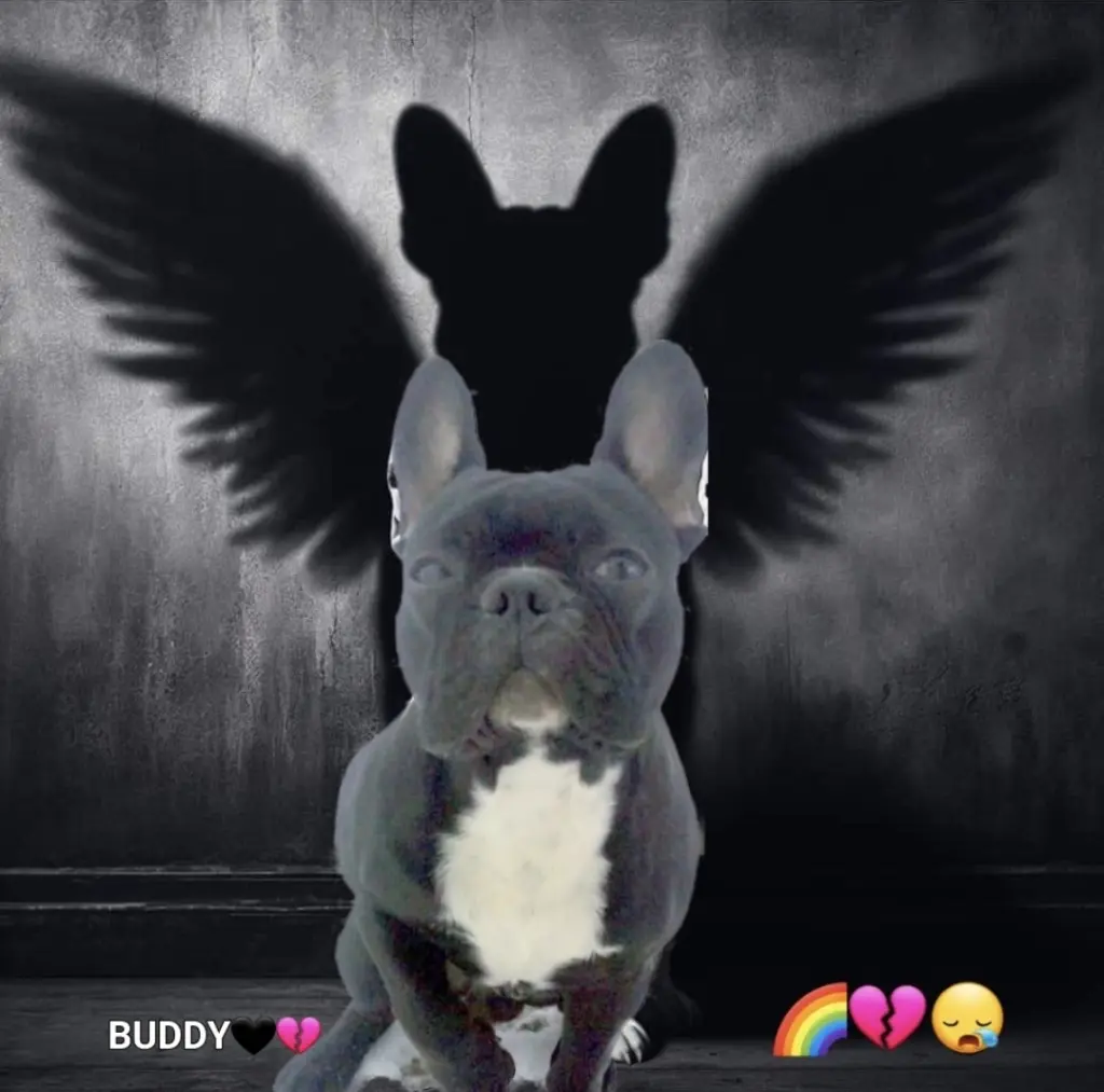 Andachtsbild von FRAULE