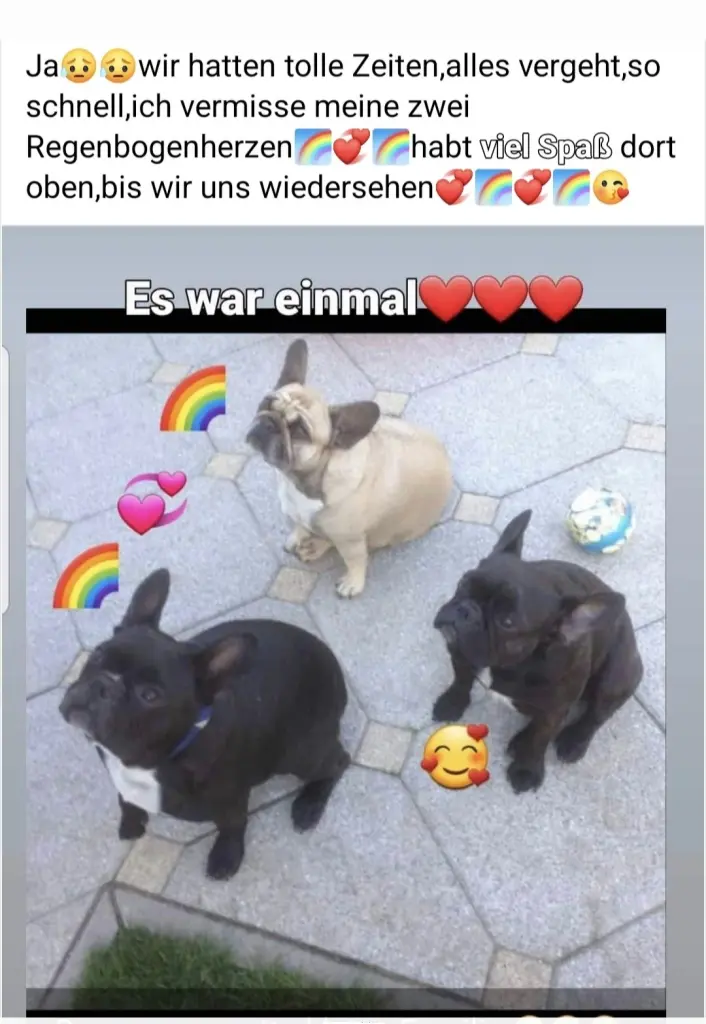 Andachtsbild von Mami ,Robby,Bonny,Bruno