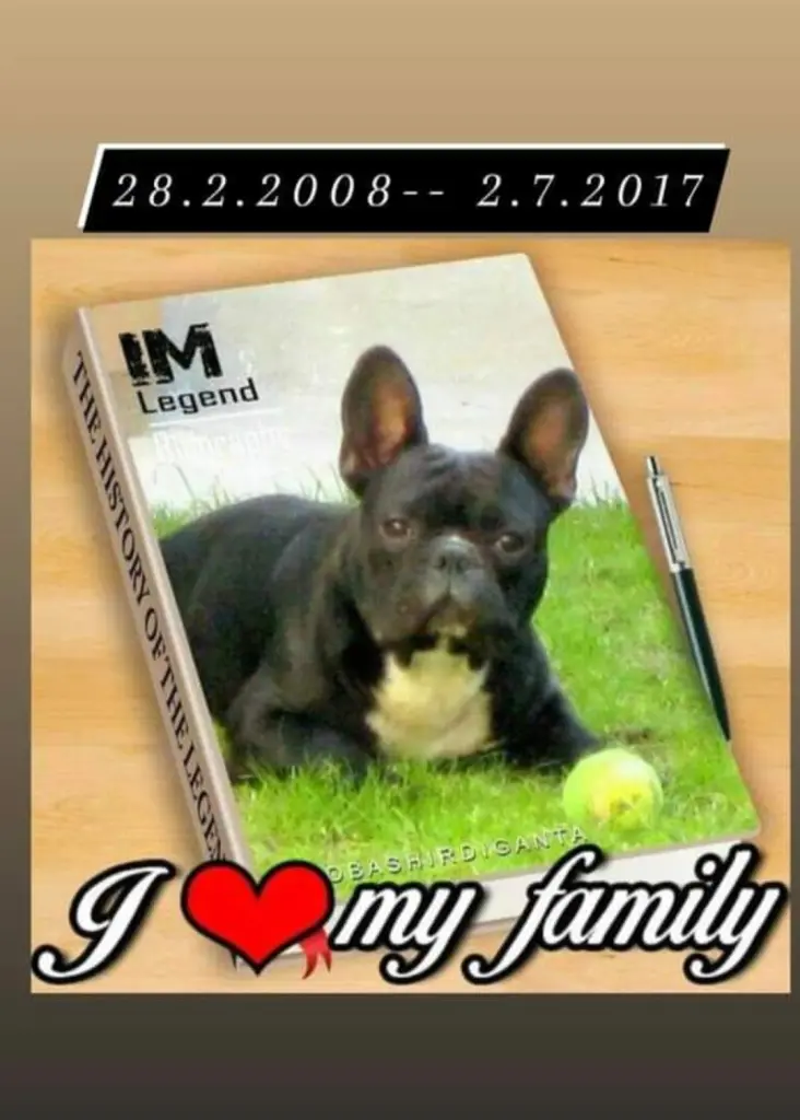 Andachtsbild von Fraule