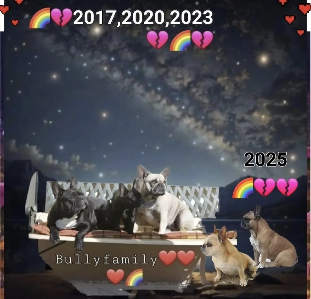 Condolence image of Muddy mit der Bullyfamily im Herzen Bruno und Momo