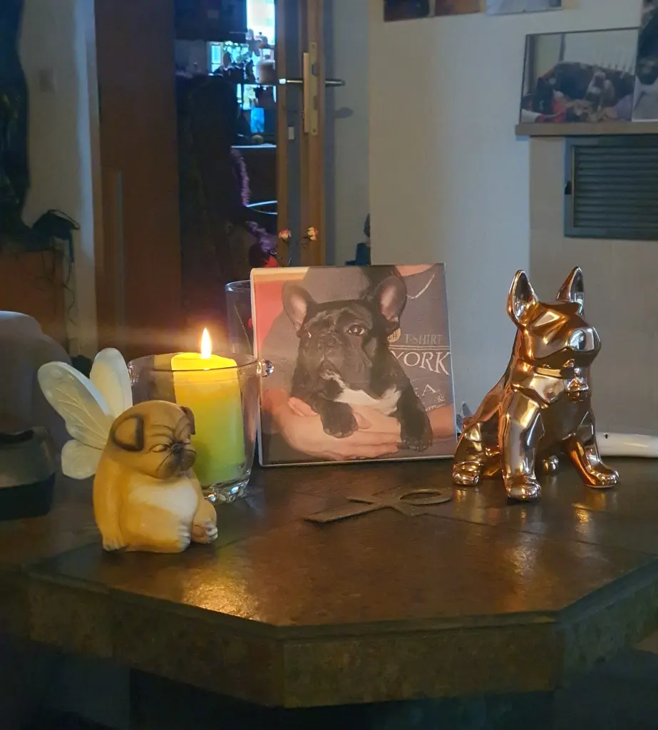 Condolence image of Muddy ,Bruno,Momo und Bullyfamily im Herzen🌈💔💔💔💔💔 ..dein Fraule