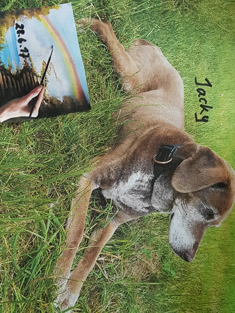 Image from Jack