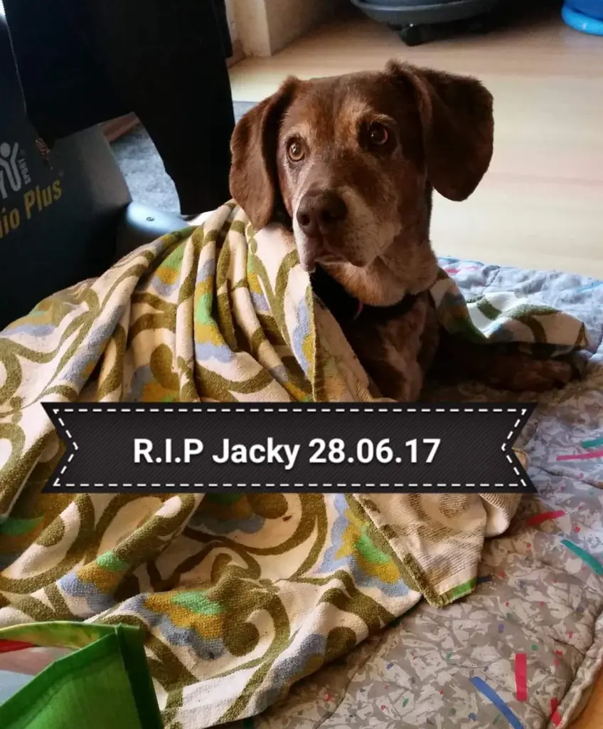 Image from Jack
