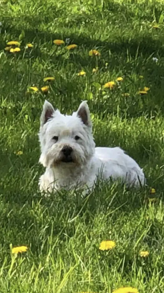 Andachtsbild von Sabine, mit Linus im ❤️