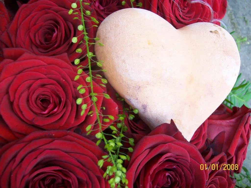 Andachtsbild von Dein Rudel