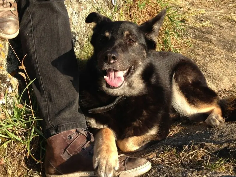 Image from Kira