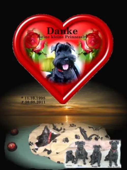 Image from Maggy