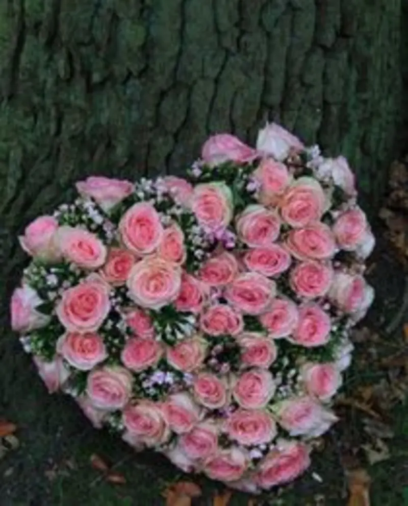 Condolence image of Unbekannt