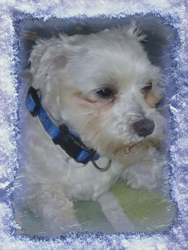Condolence image of Werner 