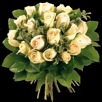 Condolence image of Werner 