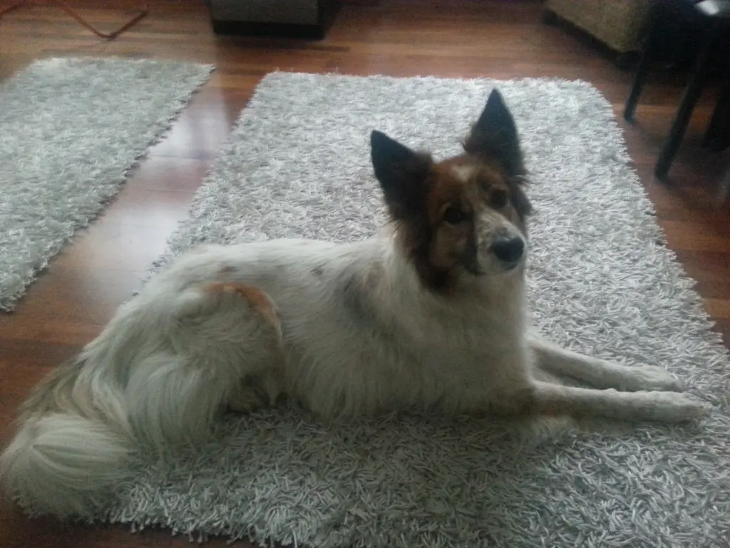 Condolence image of Barbara 