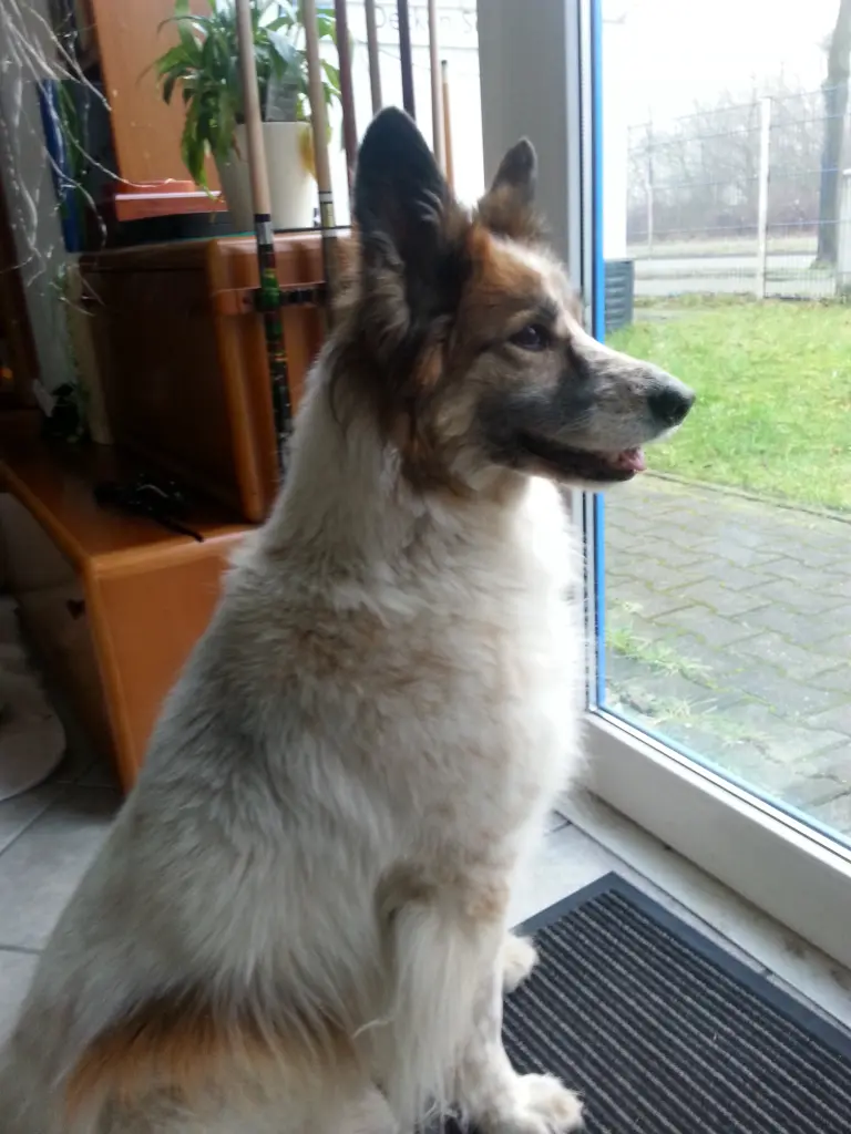 Image from Trufa