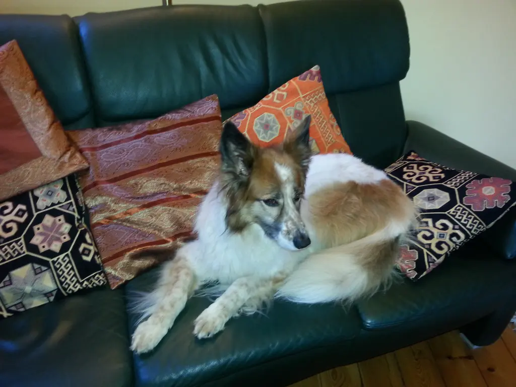 Image from Trufa