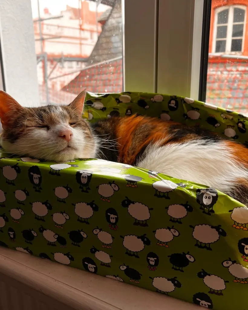 Andachtsbild von Charleen