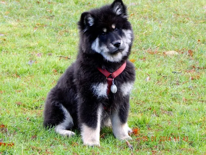 Andachtsbild von Jürgen mit Aika