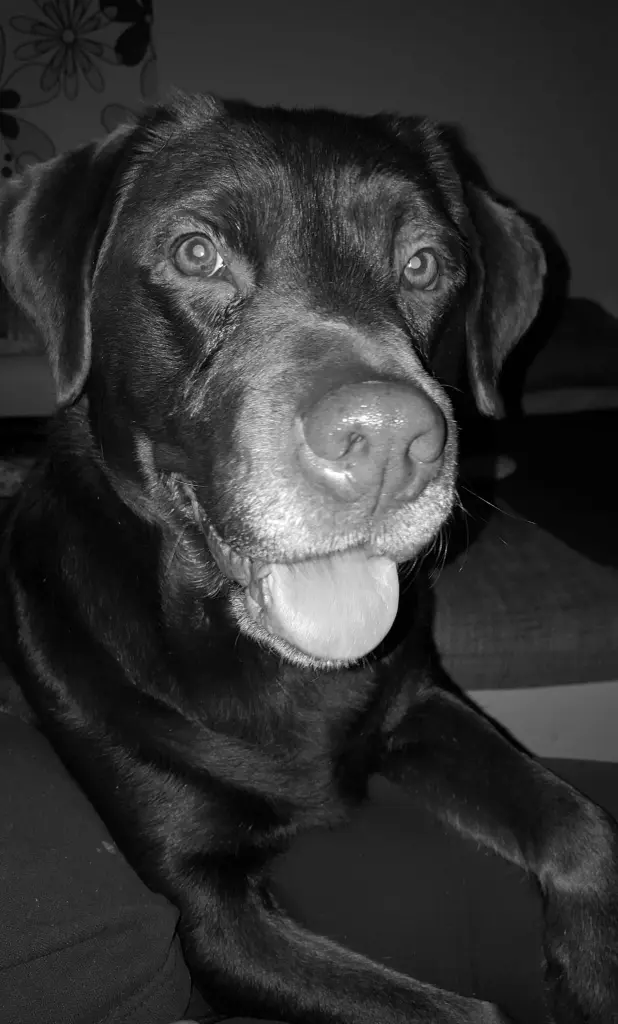 Andachtsbild von Anika