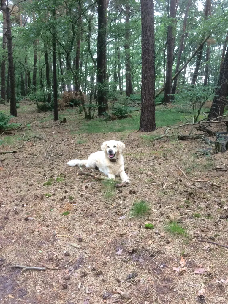 Andachtsbild von Andy und Piet