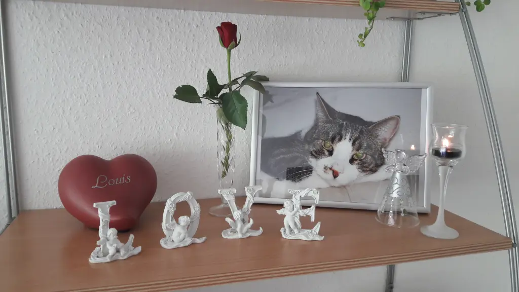 Condolence image of Dein Frauli 
