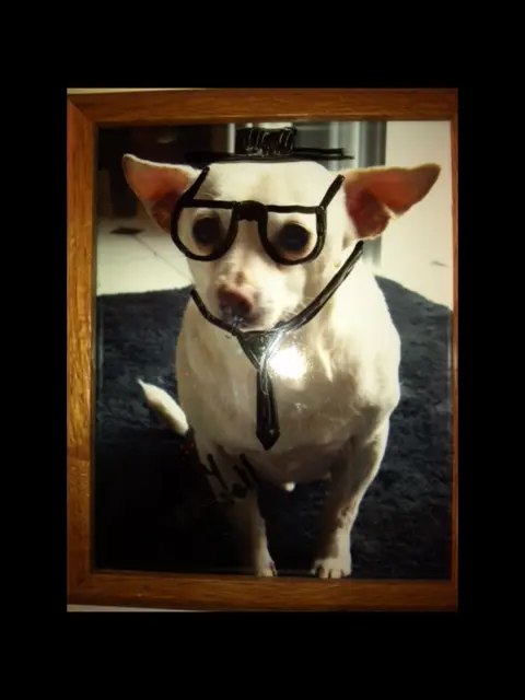 Image from Snuffy