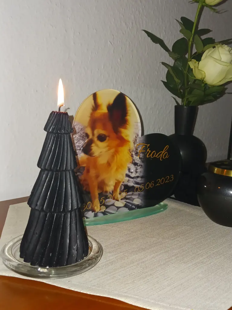 Andachtsbild von Angelika mit Frodo im Herzen ❤️ ❤️ ❤️