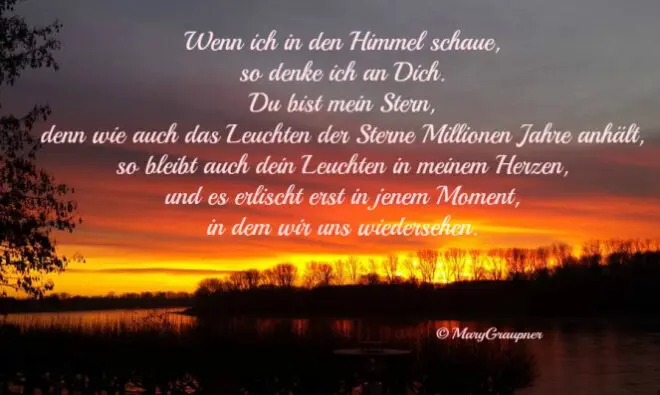 Andachtsbild von Paul mit Seelenhund " Spiky " 19. Juni 2023