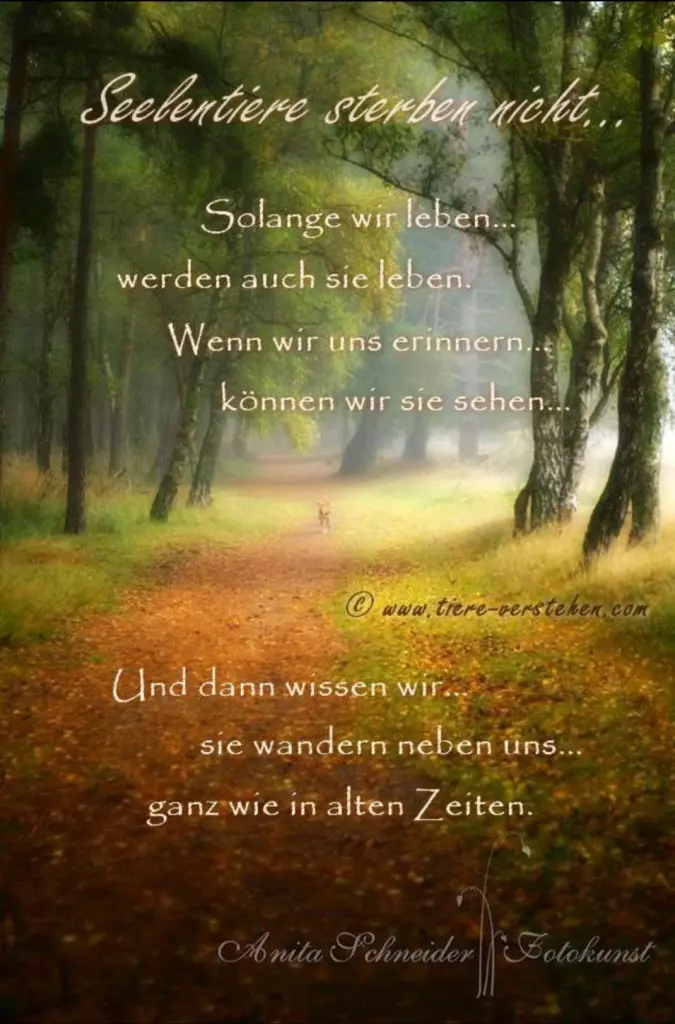 Andachtsbild von Christiane mit Nicky