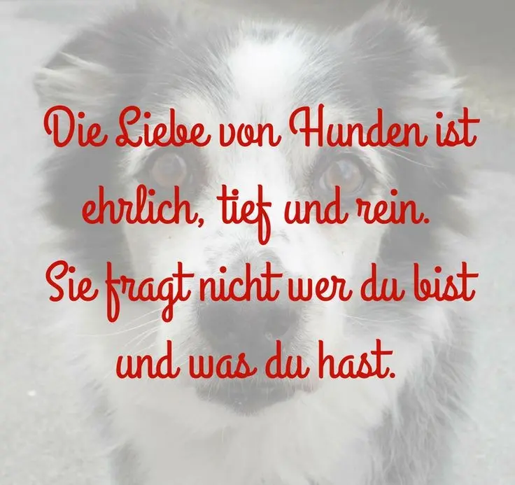 Andachtsbild von Paul mit "Spiky" im Herzen