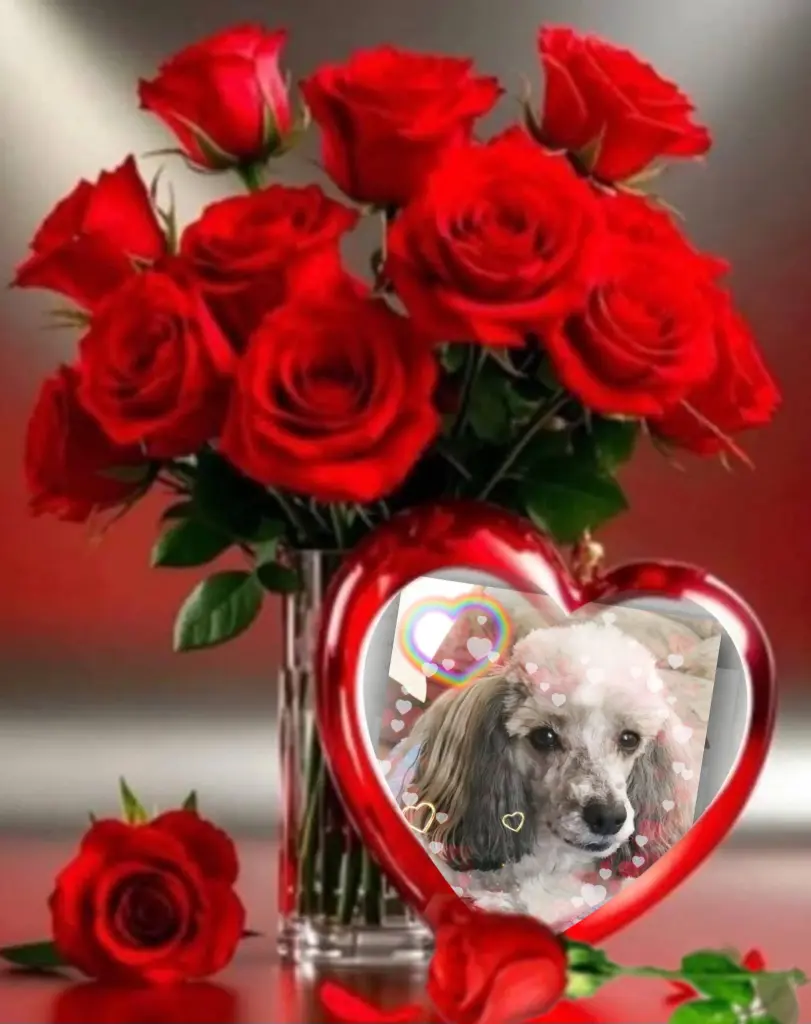 Andachtsbild von Nicky♥️ geliebt♥️ und unvergessen♥️