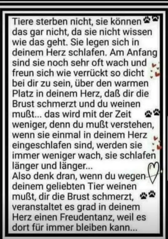 Andachtsbild von Paul mit "Seelenhund Spiky im Herzen"