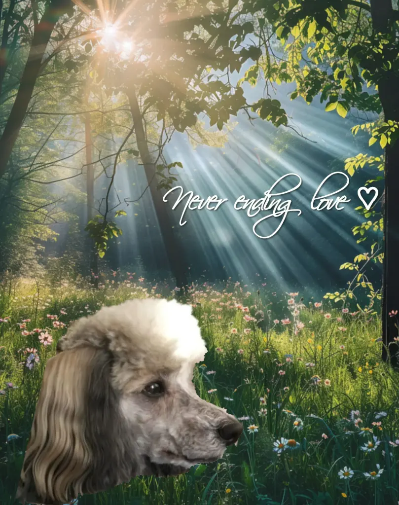 Andachtsbild von ♡Herzen♡
