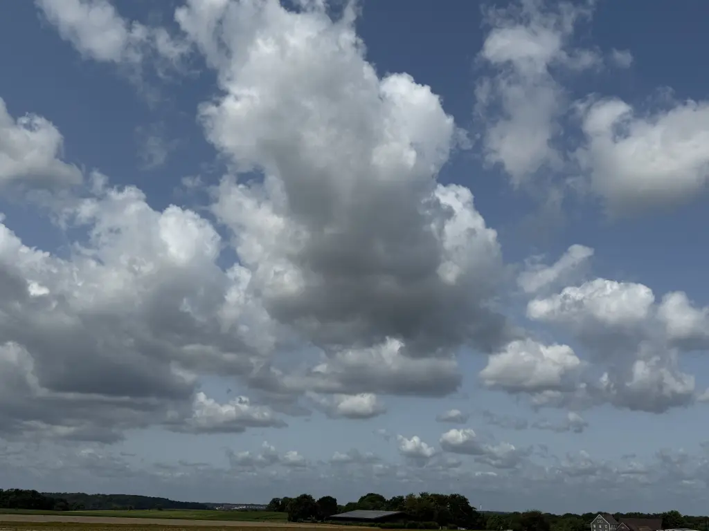 Andachtsbild von Eine eilige Bitte an das liebe Silberfellchen