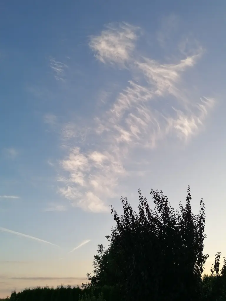 Andachtsbild von ♡