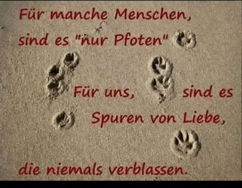 Andachtsbild von Paul mit "Seelenhund Spiky im Herzen"