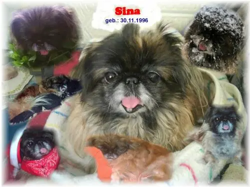 Image from Sina